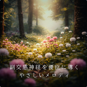 超熟睡アンビエント 自然な眠りを促す優しい音色