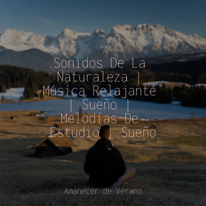 Odisea Melódica Interior