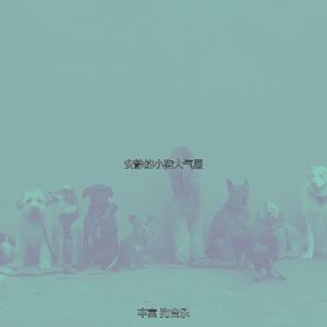 柔和的可爱的狗时刻