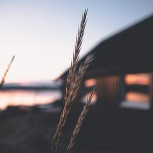 【Free Beat】Deep feeling