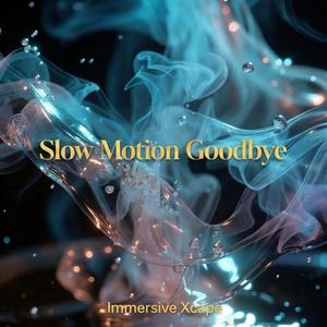 Slow Motion Goodbye