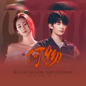 何物（张碧晨&王赫野）翻唱