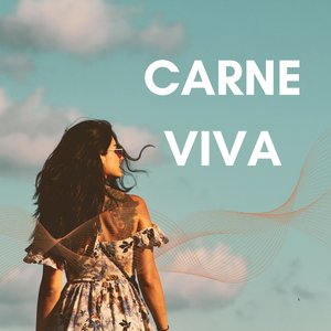 Planeador del Desierto