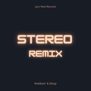Stereo (feat. Stingr) (Remix)