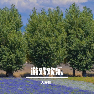 梦想的翅膀在飞翔