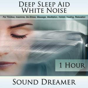 White Noise (Deep Sleep Aid) [For Tinnitus, Insomnia, De-Stress, Massage, Meditation, Holistic Healing, Relaxation] [1 Hour]