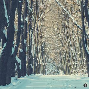 봄이 되어준 너