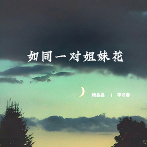 如同一对姐妹花