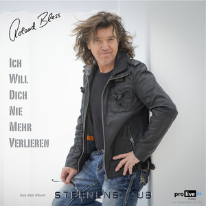 Ich will Dich nie mehr verlieren (Radio Edit)