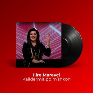 Kalldermit po mshkon