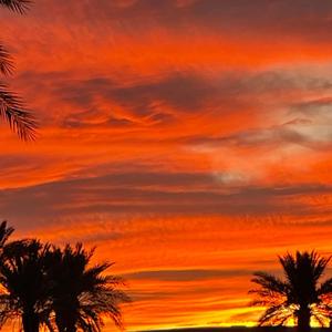 8:30pm (feat. Woody2gz)