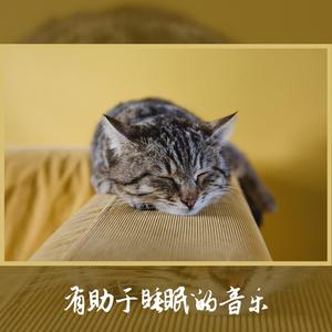 深度睡眠音乐