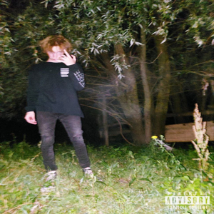 идеализация