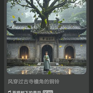 菩提树下的恩怨_233307343694498342_1772962467733.wav