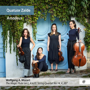 String Quartet in G Major, K. 387: IV. Molto allegro