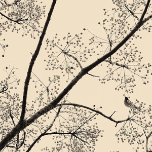 插曲