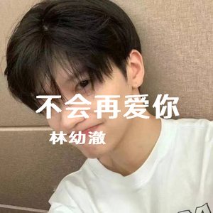 不会再爱你