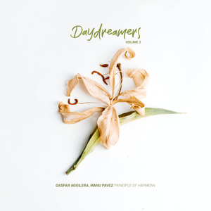 Principle of Harmony