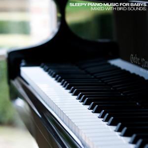 Moonlit Slumber (Mixed with Bird Sounds)