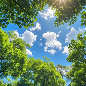 不信语言（ Demo）