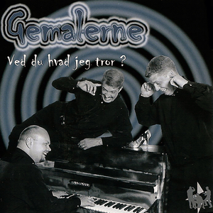 Did I Ever Say I Love You (Banjo Mix)