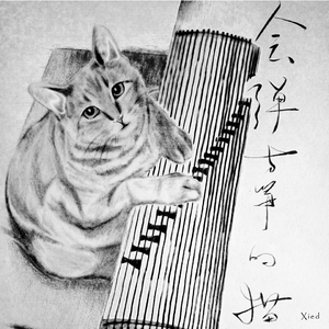 会弹古筝的猫の遇见