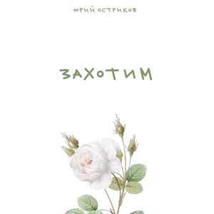 Захотим (live)