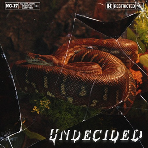 Undecided