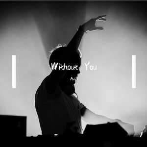 Avicii-Without You（Gecko remix）