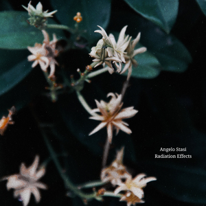 PlancK (Basis Change Remix)