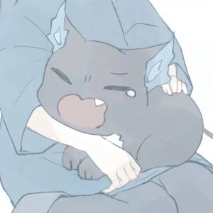 房间-新版