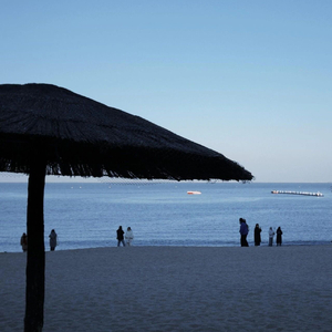 拥抱你 像把迟到的春天补给我