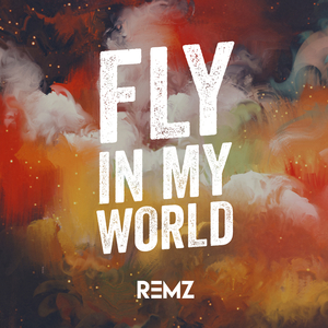 Fly in My World