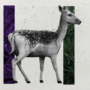 And When We Get There Everyone We Knew Will Be Waiting..