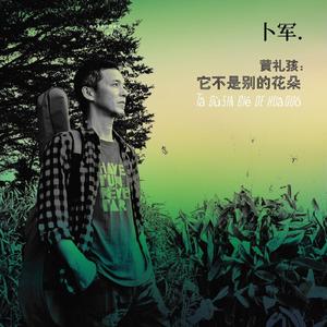 它不是别的花朵