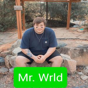 Mr. WRLD