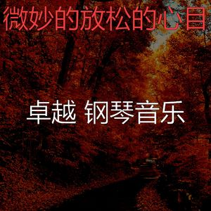 优美放松的器乐