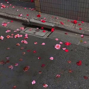 爱，存在