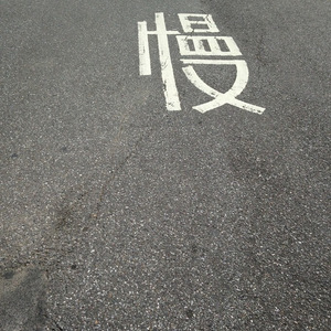 慢灵魂（翻自 卢广仲）