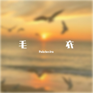 毛衣