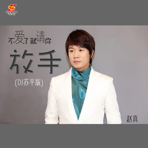不爱了就请你放手-赵真 (DJ苏平版)