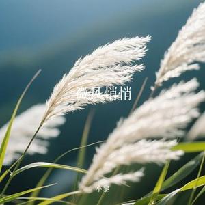 微风悄悄 (Cover 不是花火呀)