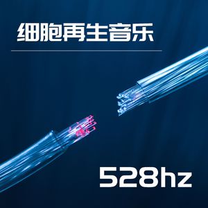 528hz频率