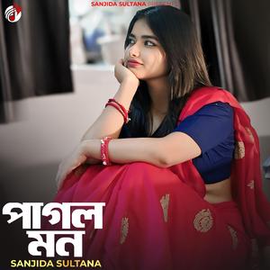 পাগল মন (Special Lo-Fi Version)