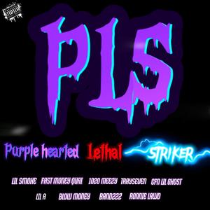PLS (feat. Lil Smoke, Fastmoney Quai, 1020Meezy, Tray seven, CFN Lil Ghost, Lil A, Blow money & Bandzzz)
