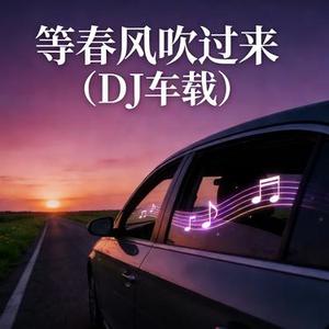 等春风吹过来 (DJ车载)