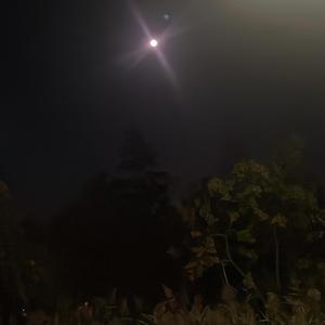 Ballout (feat. Brxxy)