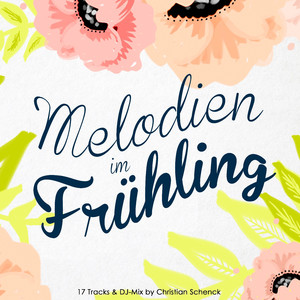 Pretty Lies (Deneha's Edit)