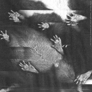 I Don't Believe in Money! (Two False Starts)