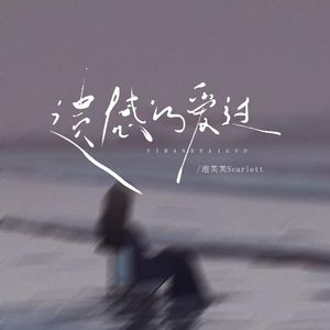 遗憾的爱过 (DJ版)